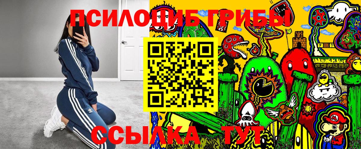 Галлюциногенные грибы мицелий  Вход с VPN  продажа наркотиков  Орск  Псилоцибиновые грибы Psilocybine cubensis 